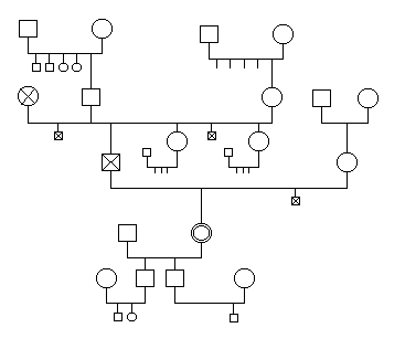 Cómo hacer un genograma (árbol genealógico)